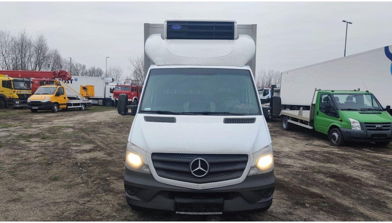 Mercedes-Benz Sprinter 316 cdi - Carrier Xarios 500 frigo - 3,5t - 220V - Autoutilitară frigorifica: Foto 5 Mercedes-Benz Sprinter 316 cdi - Carrier Xarios 500 frigo - 3,5t - 220V - Autoutilitară frigorifica: Foto 5
