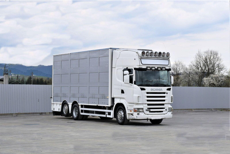 Scania R 500 - Camion transport animale: Foto 2 Scania R 500 - Camion transport animale: Foto 2