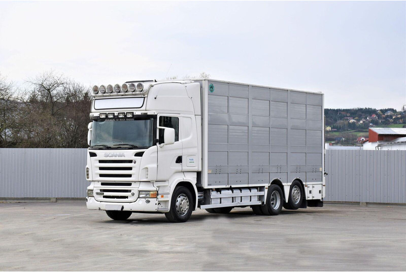 Scania R 500 - Camion transport animale: Foto 1 Scania R 500 - Camion transport animale: Foto 1