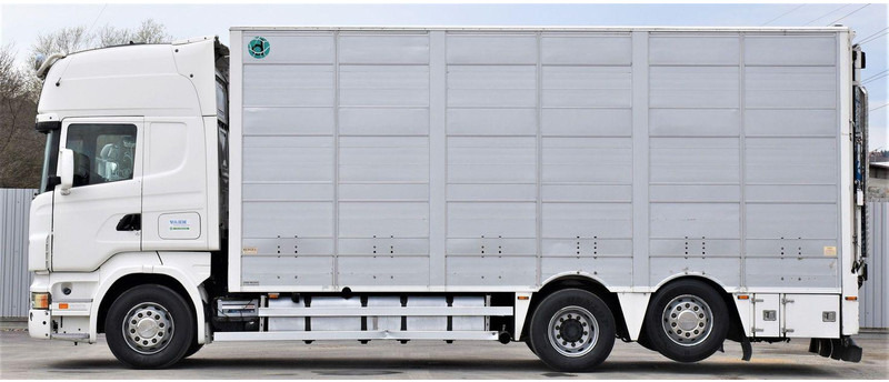 Scania R 500 - Camion transport animale: Foto 3 Scania R 500 - Camion transport animale: Foto 3