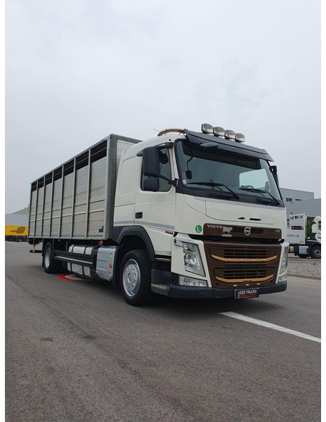 Volvo FM 500 Viehtransporter ( Rind / beef ) - Camion transport animale: Foto 1 Volvo FM 500 Viehtransporter ( Rind / beef ) - Camion transport animale: Foto 1