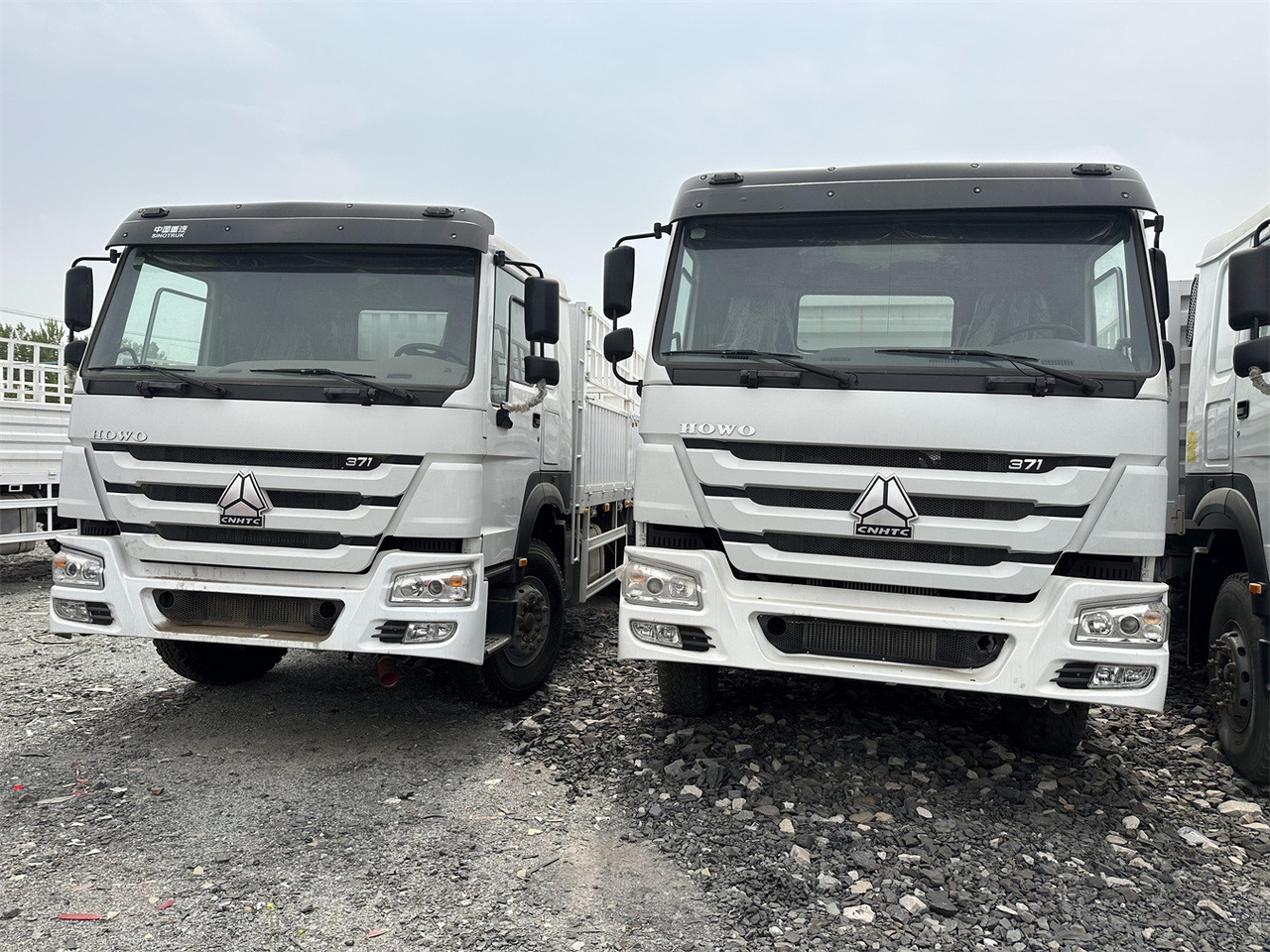 SINOTRUK HOWO 371 Cargo truck - Camion transport animale: Foto 1 SINOTRUK HOWO 371 Cargo truck - Camion transport animale: Foto 1