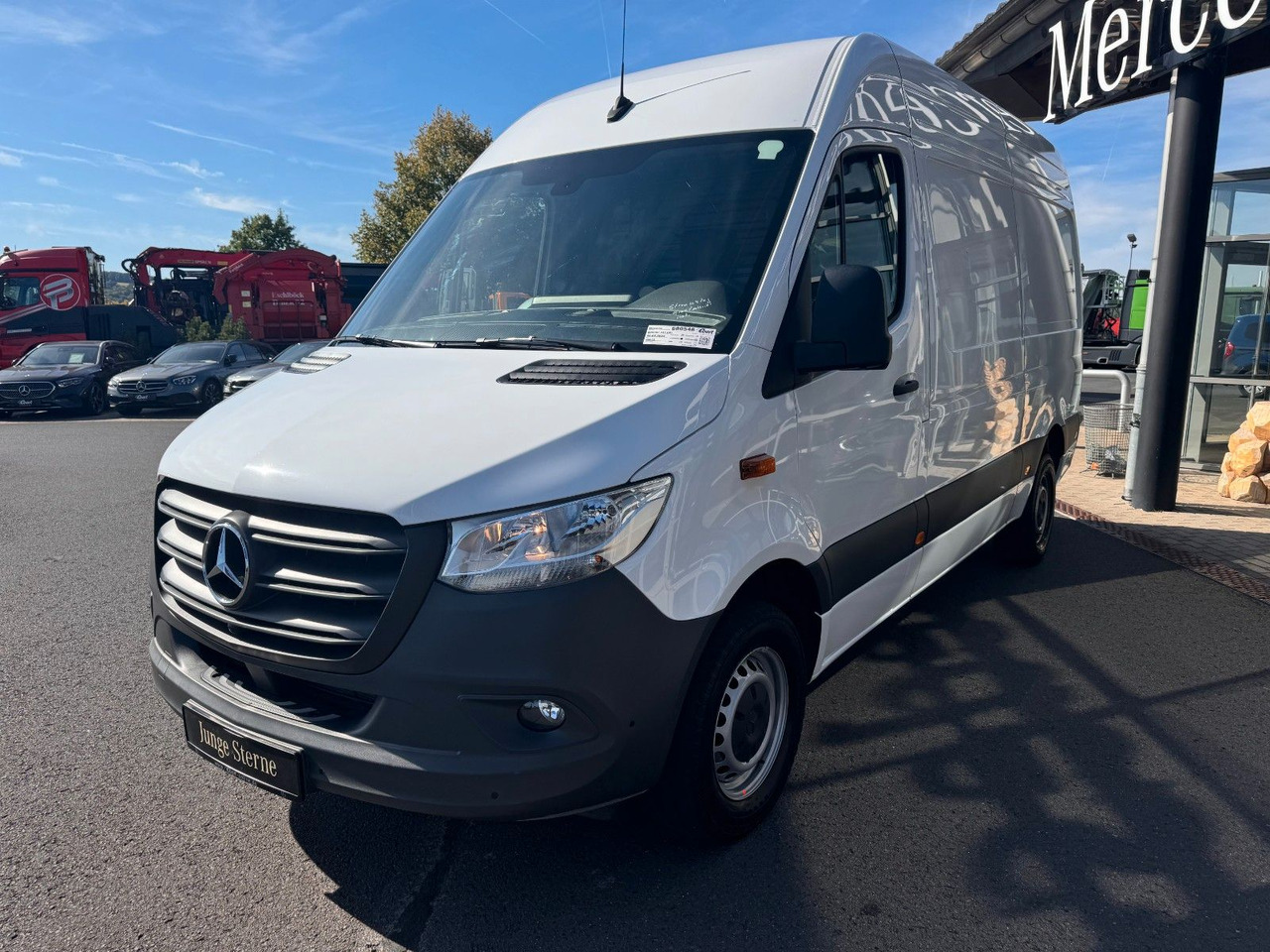 Mercedes-Benz Sprinter 317 CDI 3665 Klima 360 Schwing SHZ - Dubă: Foto 3 Mercedes-Benz Sprinter 317 CDI 3665 Klima 360 Schwing SHZ - Dubă: Foto 3