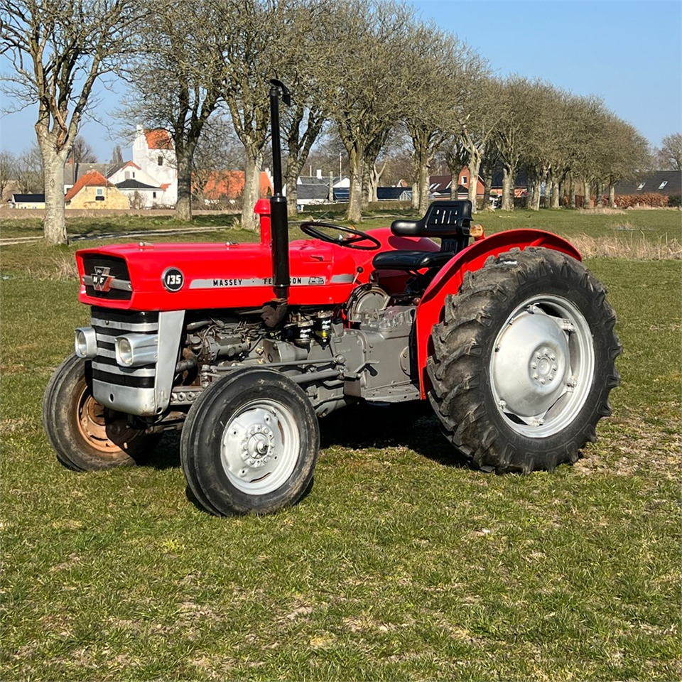 Massey Ferguson 135 Diesel - Tractor agricol: Foto 4 Massey Ferguson 135 Diesel - Tractor agricol: Foto 4