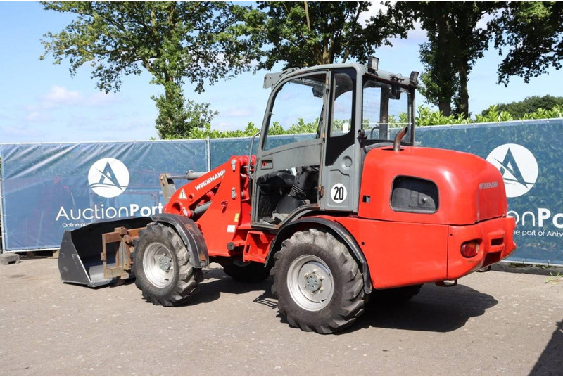 Weidemann Wiellader - Încărcător frontal pe pneuri: Foto 4 Weidemann Wiellader - Încărcător frontal pe pneuri: Foto 4