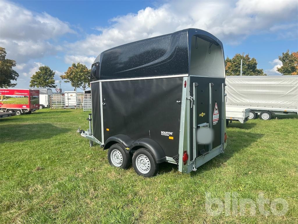 Humbauer Equitos Plywood (2025) - Remorcă transport cai: Foto 3 Humbauer Equitos Plywood (2025) - Remorcă transport cai: Foto 3