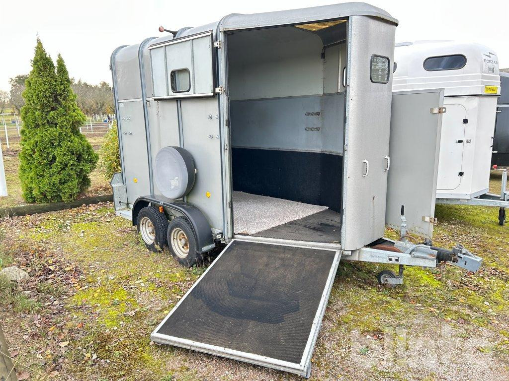 IFOR WILLIAMS HB510 R - Remorcă transport cai: Foto 1 IFOR WILLIAMS HB510 R - Remorcă transport cai: Foto 1